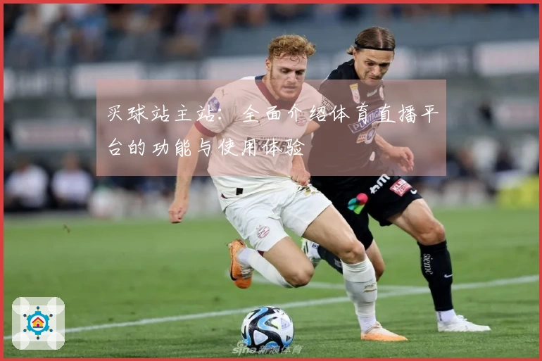 买球站主站：全面介绍体育直播平台的功能与使用体验