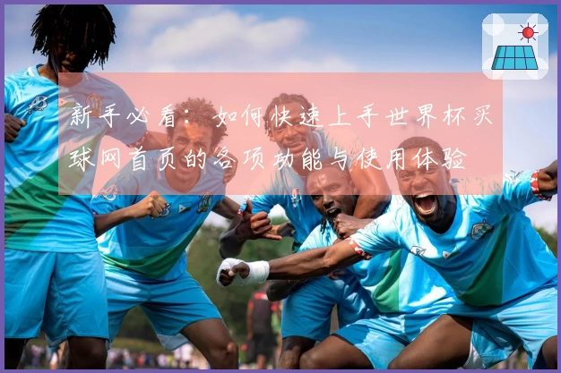 新手必看：如何快速上手世界杯买球网首页的各项功能与使用体验