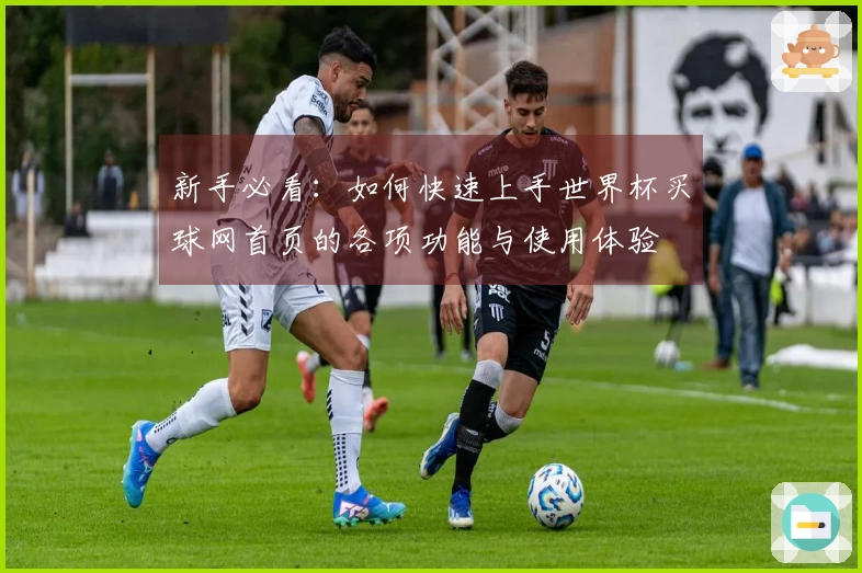 新手必看：如何快速上手世界杯买球网首页的各项功能与使用体验