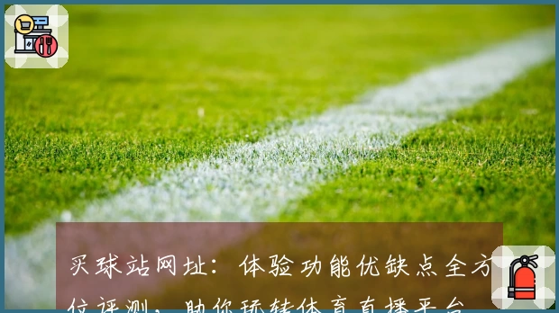 买球站网址:体验功能优缺点全方位评测,助你玩转体育直播平台